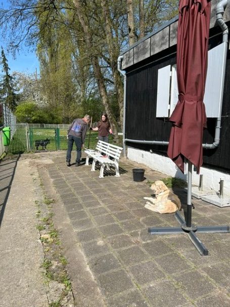 Zwei Personen interagieren auf einer Terrasse, ein Hund liegt entspannt daneben.
