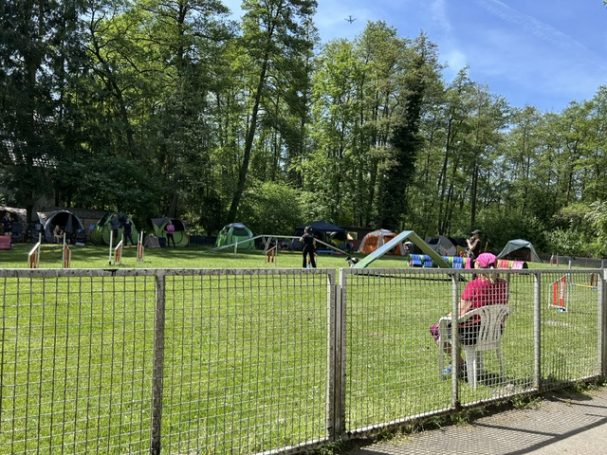 Bild mit Agility Parcours