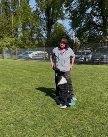 Person steht auf einer grünen Wiese und beugt sich zu einem schwarzen Hund hinunter.