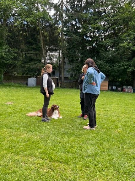 Obedience Training