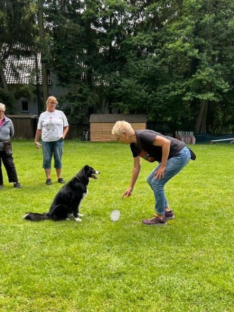 Obedience Training