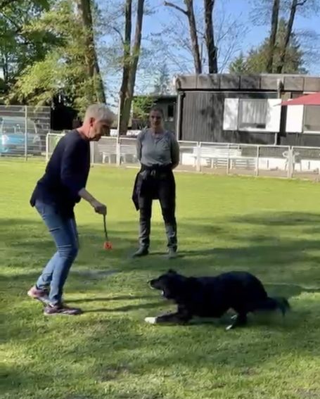 Eine Person trainiert mit einem schwarzen Hund, während eine weitere Person zuschaut.
