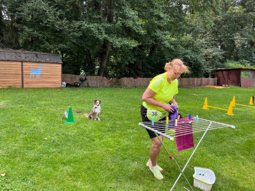 Eine Frau in Neonkleidung richtet Trainingsgeräte für Hunde im Freien auf.