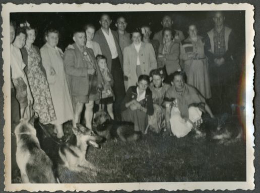 Gruppenzusammenkunft von Menschen und Hunden in einer dunklen Umgebung.