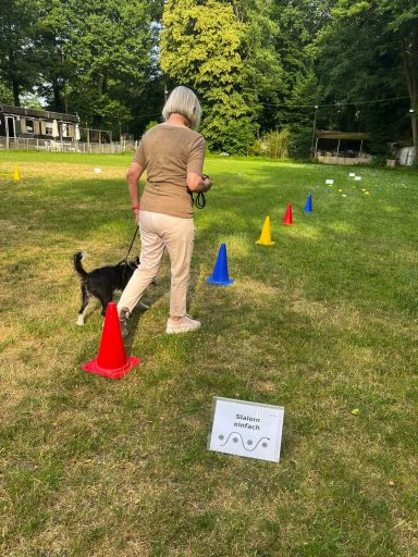 Eine ältere Frau führt einen Hund durch einen Parcours mit bunten Kegeln.