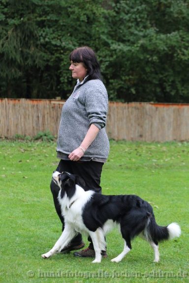 Frau mit einem Border Collie, der an der Leine neben ihr läuft, im Grünen.