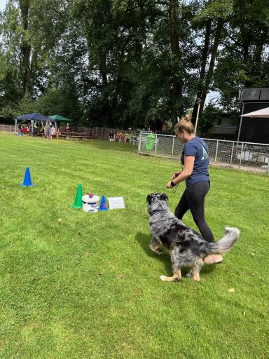 Eine Frau führt einen Hund über Hüte in einem Trainingsfeld.