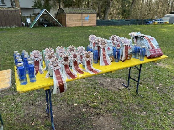 Tisch mit Geschenken und Schleifen