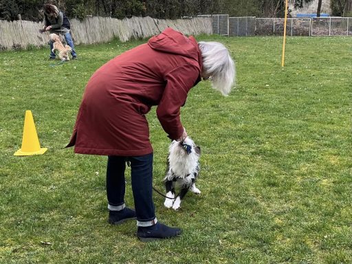 Frau in rotem Mantel kniet und streichelt einen Hund auf einer Wiese.