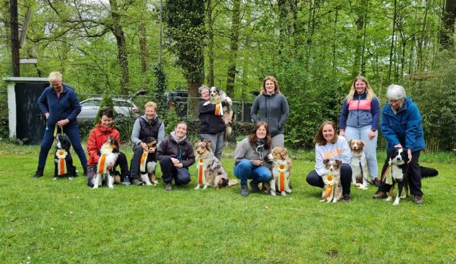 Gruppierung von Menschen und Beagles im Freien, umgeben von grünem Gras und Bäumen.