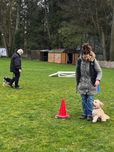 Eine Frau mit einem Hund steht neben einem roten Kegel, während eine Person im Hintergrund läuft.