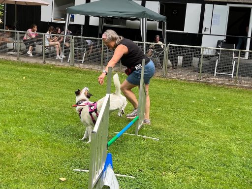 Frau trainiert mit einem Hund auf einer Wiese, während Zuschauer zuschauen.