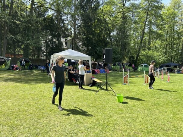 Agility Parcours mit Richterzelt