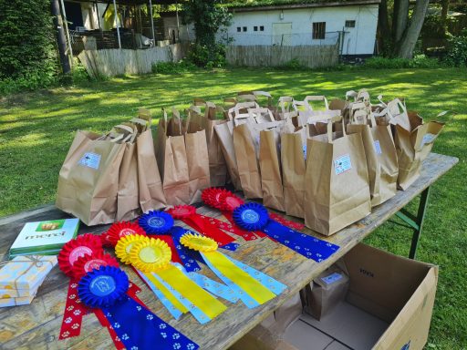 Tisch mit Geschenktüten und Preisträgerbändern in einer grünen Umgebung.