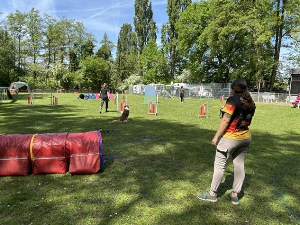 Agility Parcours