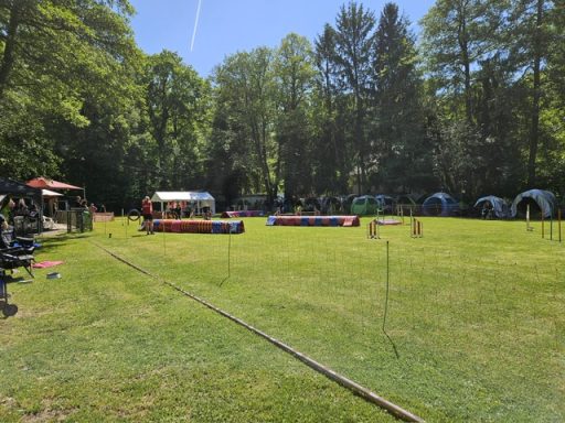 Agility Parcours