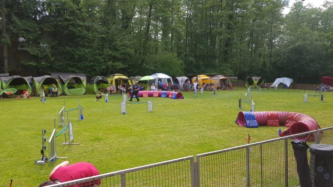 Hundesportplatz mit Agility-Geräten und Teilnehmern unter Zelten im Wald.