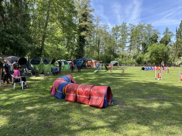 Agility Parcours