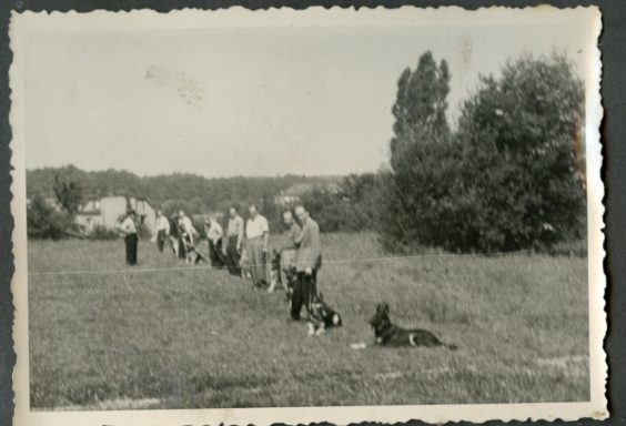 Eine Gruppe von Menschen steht in einer Reihe auf einer Wiese, zwei Hunde liegen davor.